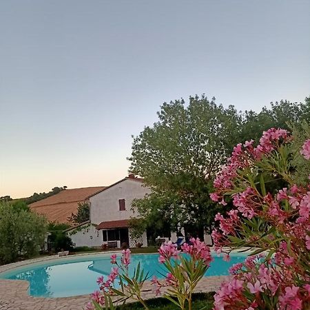 Agriturismo La Locandiera Montemerano Kültér fotó
