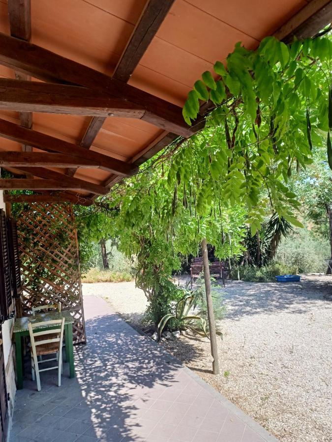 Agriturismo La Locandiera Montemerano Kültér fotó