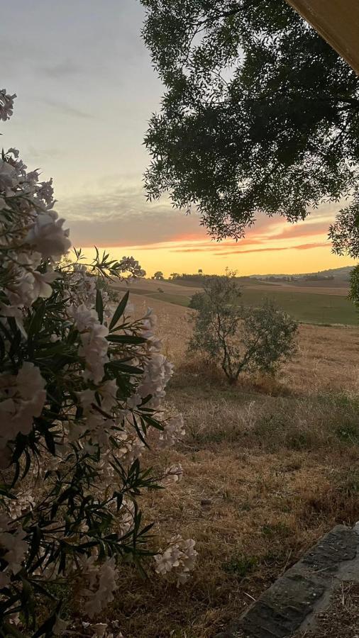 Agriturismo La Locandiera Montemerano Kültér fotó