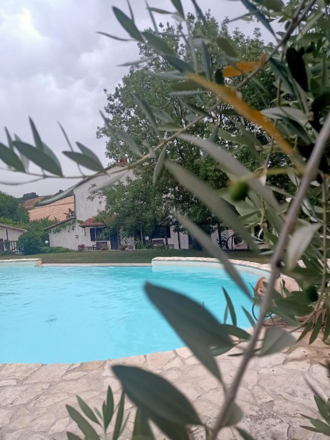 Agriturismo La Locandiera Montemerano Kültér fotó