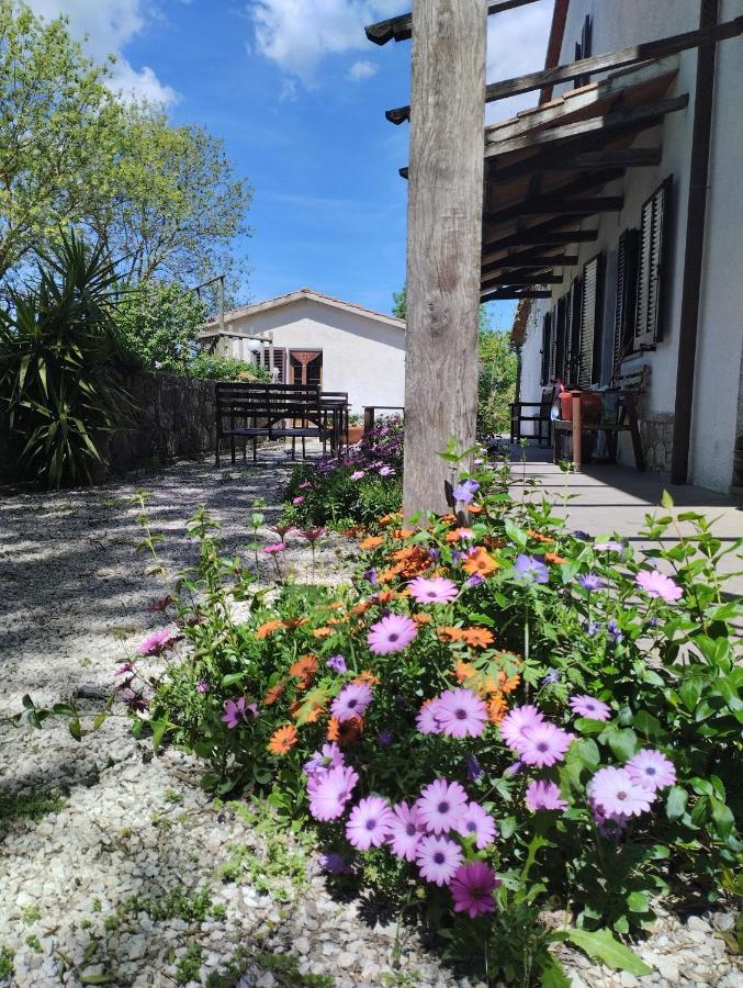 Agriturismo La Locandiera Montemerano Kültér fotó