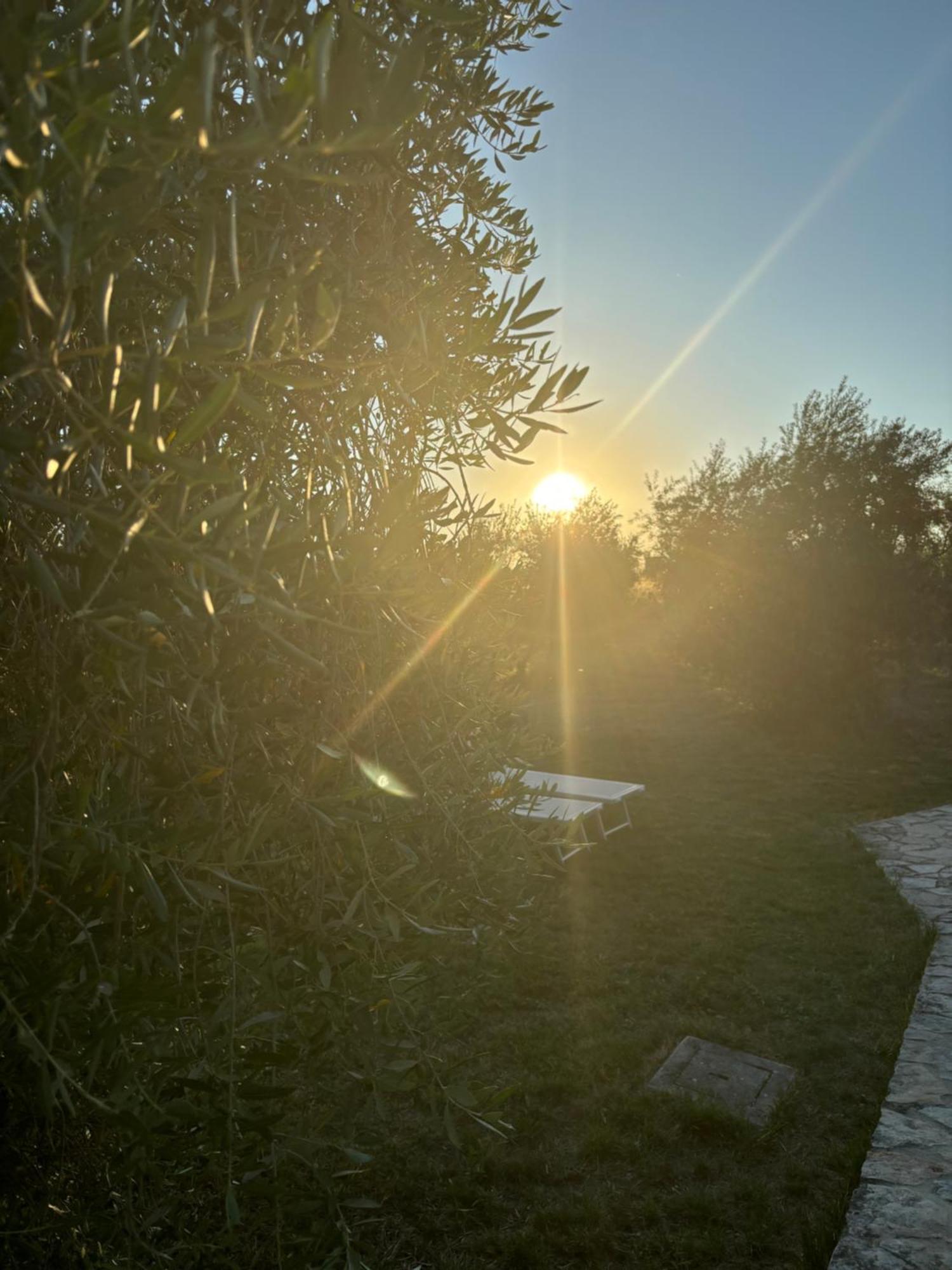 Agriturismo La Locandiera Montemerano Kültér fotó